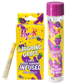 HY-R - Orange Pineapple 1G Infused Pre-Roll